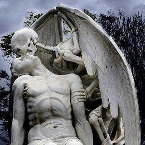 Meet your Posher, Donald